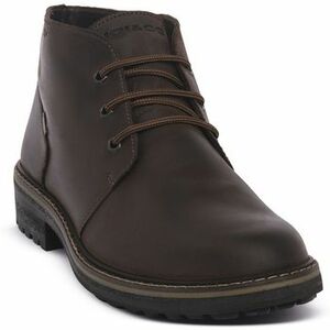 Csizmák IgI&CO FREDDY CAFFE kép