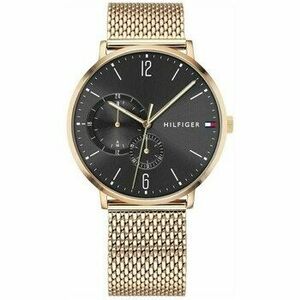Analóg karórák Tommy Hilfiger 1791506 kép