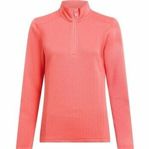 Polárok Mckinley 432496248 kép