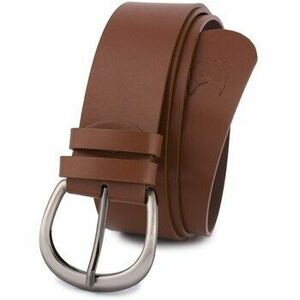 Övek Beltimore krad8780 kép