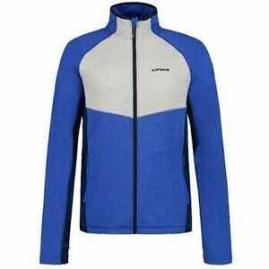 Kabátok Icepeak Delton kép