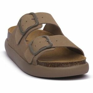 Papucsok Scholl DKBE NOELLE kép