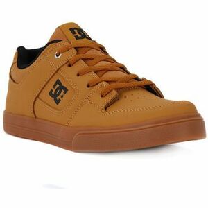 Rövid szárú edzőcipők DC Shoes PURE BOYS kép