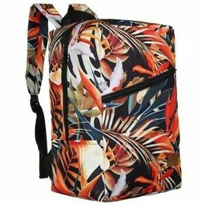 Hátitáskák Peterson PTNPLEC0152862 kép