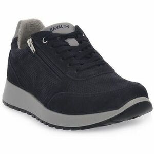 Divat edzőcipők Enval SARO BLU kép