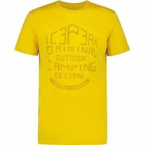 Rövid ujjú pólók Icepeak Mosbach kép