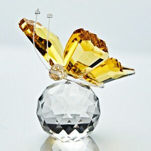 Üveg pillangó kép