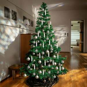 10 db fenyőfagyertya kép