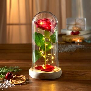 Örök rózsa háttérvilágítással kép