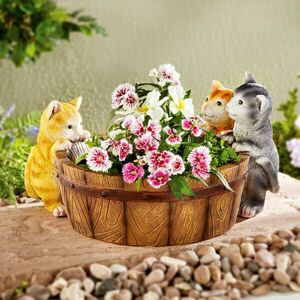 Virágcserép macskák kép