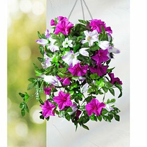 Csüngő csokor Petúnia kép