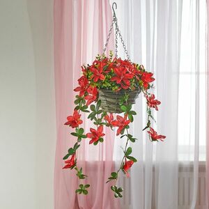 Akasztós kosár rododendronnal kép