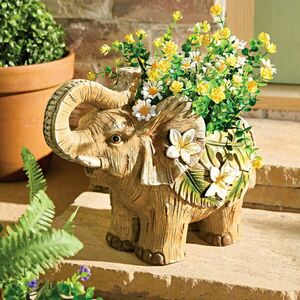 Elefánt növény cserép kép