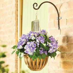 Horterzia függő virágcserépben kép