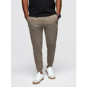 Férfi melegítőnadrág bordás szárral és gumibélyegzéssel – hamuszürke V3 OM-PASK-0223 kép