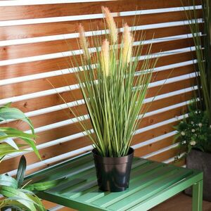 Műfű cserepes növény Dochan kép