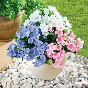 3 csokor petrklíč kép