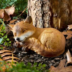 Dekoráció Róka kölyök kép