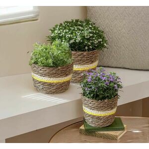 Tengerifűből készült virágcserép-tartó, 3 db-os készlet kép