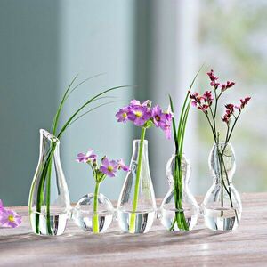 Összekapcsolt vázák Domino kép