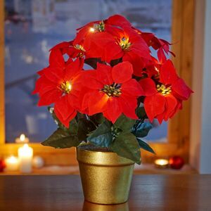 LED karácsonyi csillag cserepes kép