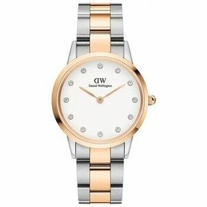 Analóg karórák Daniel Wellington ty197430 kép