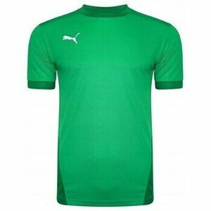 Rövid ujjú pólók Puma Teamgoal 23 Jersey kép
