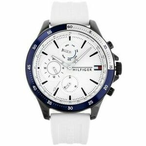 Analóg karórák Tommy Hilfiger ty171320 kép