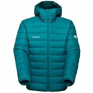 Kabátok Mammut Crag kép