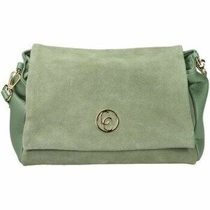 Kézitáskák Carmela 186201 kép