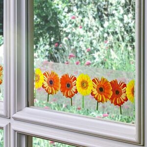 20 db légycsapda Gerbera kép