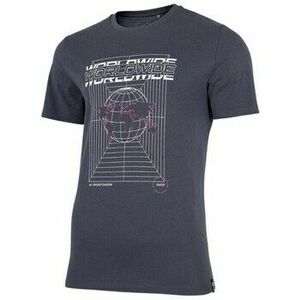 Rövid ujjú pólók 4F TSM029 kép