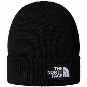 Sapkák The North Face NF0A8CHEJK31 kép