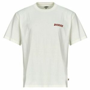 Rövid ujjú pólók Dickies DRY RIDGE SS TEE EGRET kép