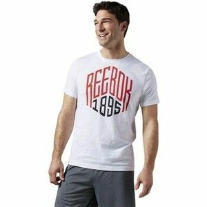 Rövid ujjú pólók Reebok Sport AJ2669 kép