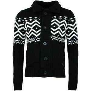 Mellények / Kardigánok Srk Gilet homme CARD kép