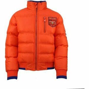 Steppelt kabátok Harry Kayn Doudoune homme CLEIME kép