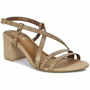 Divat edzőcipők Maciejka 0665304000 kép