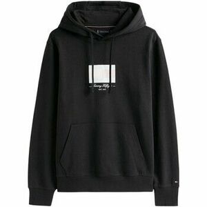 Pulóverek Tommy Hilfiger ITHACA FLAG HOODIE MW0MW39377 kép