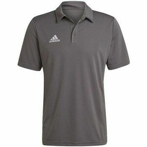 Rövid ujjú pólók adidas Entrada 22 kép
