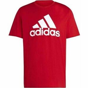 Rövid ujjú pólók adidas M BL SJ T kép