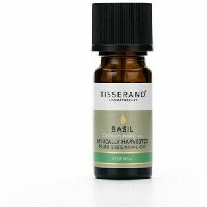 Bio & természetes Tisserand Aromatherapy Basil Ethically Harvested kép