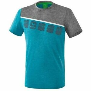 Rövid ujjú pólók Erima 5c kép