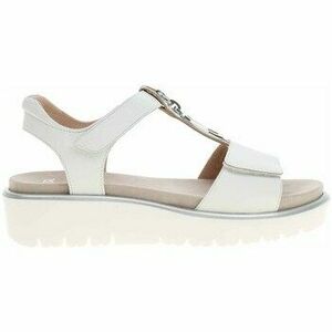 Alsóváros Ara 123351504 kép