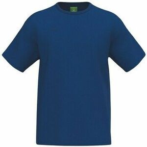 Rövid ujjú pólók Erima Cmpt kép