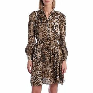 Rövid ruhák Zadig & Voltaire WJCP0426F-NATUREL kép