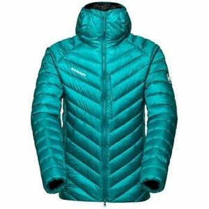 Dzsekik Mammut 10130296240322 kép