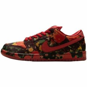 Rövid szárú edzőcipők Nike SB Dunk Low The Wizard of Oz Poppy Field kép