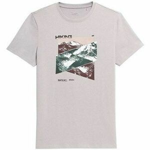 Rövid ujjú pólók 4F TSM071 kép