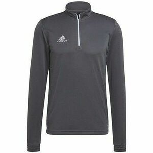 Pulóverek adidas Entrada 22 Training kép